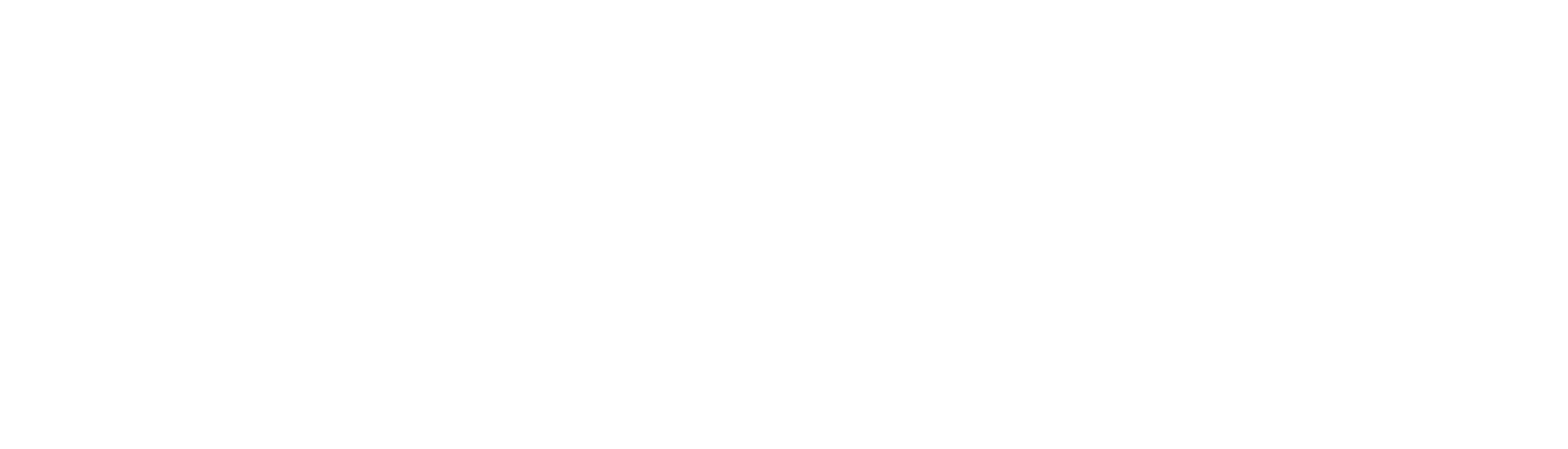 SOLVO Logo: Špičková data a bezkonkurenční expertíza